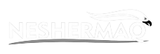 Cliente Lippel Neshermaq